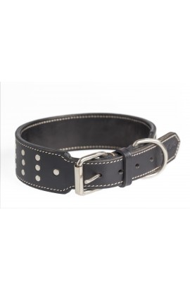 collar perro