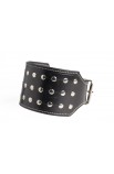 Double leather dog collar with rivets